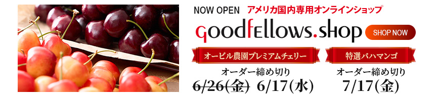 slider1 アメリカ国内専用オンラインショップ GoodfEllows.shop